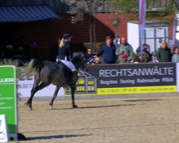 Reitturnier Borken 2025