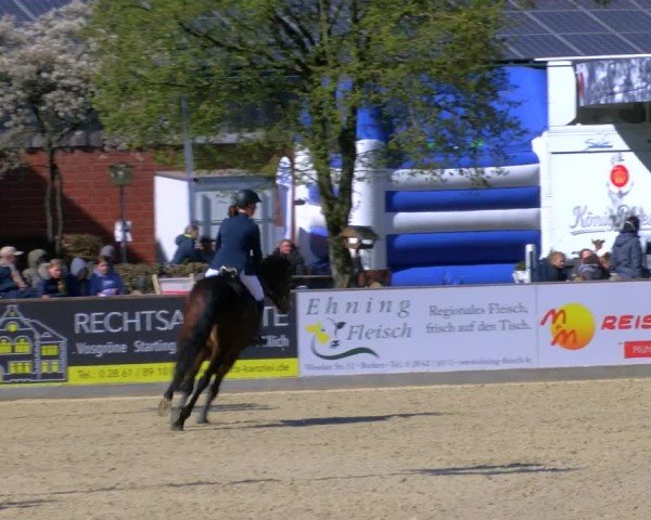 Reitturnier Borken 2025