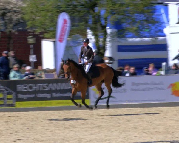 Reitturnier Borken 2025