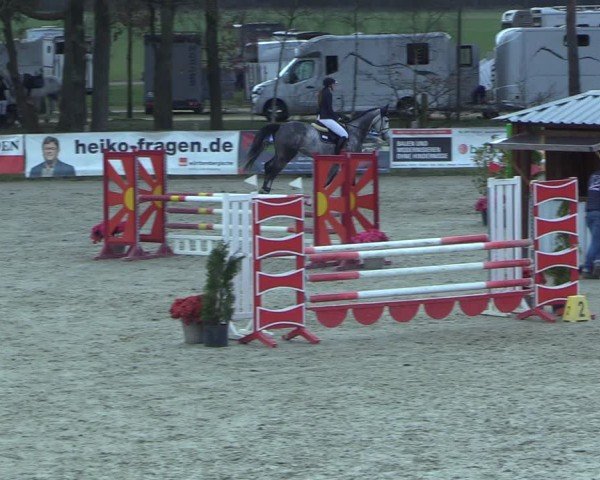 Reitturnier Westergellersen 2025