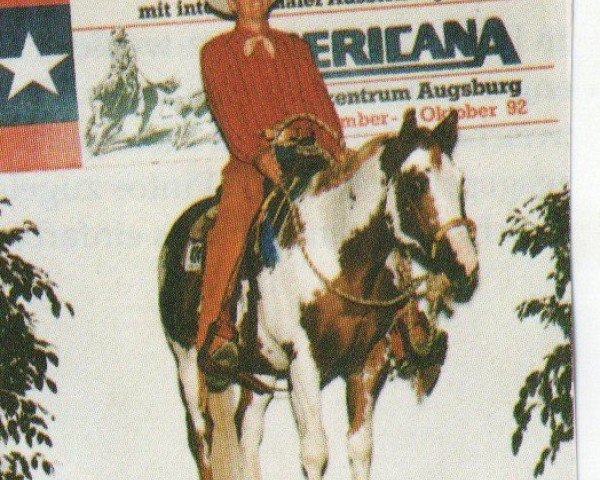 Deckhengst Robins Copy (Paint Horse,  , von Painted Robin Jr)