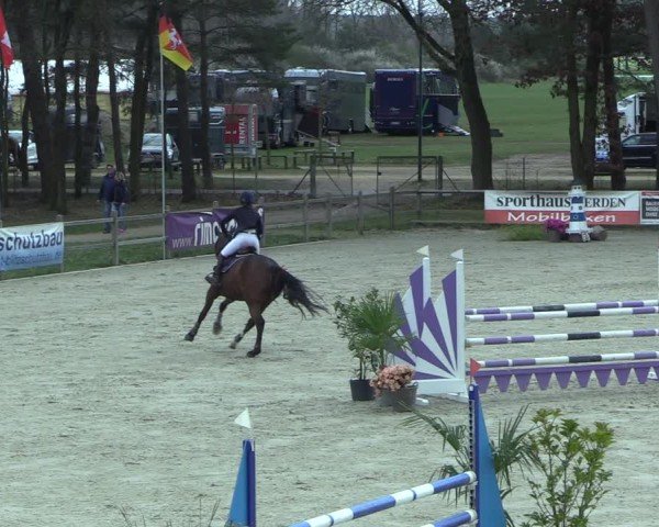 Reitturnier Westergellersen 2025