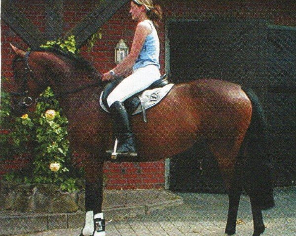 dressage horse Ronja (Oldenburg, 2001, from Royal Dance)