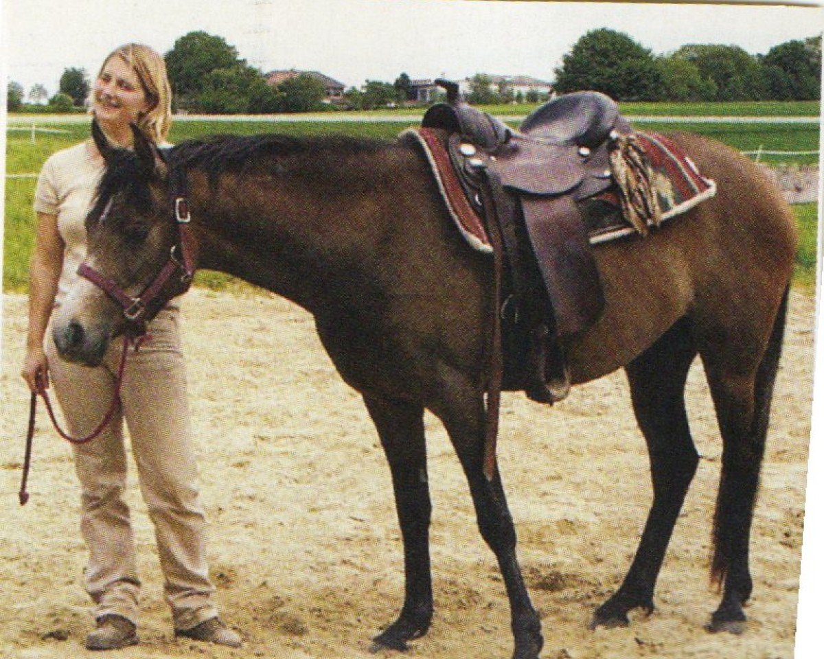 Pferd Mahdih (Araber, 1999, von Maharadschahn ox)