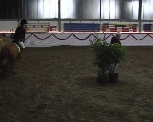 Hallen-Jugend-Springturnier Südlohn-Oeding 2013