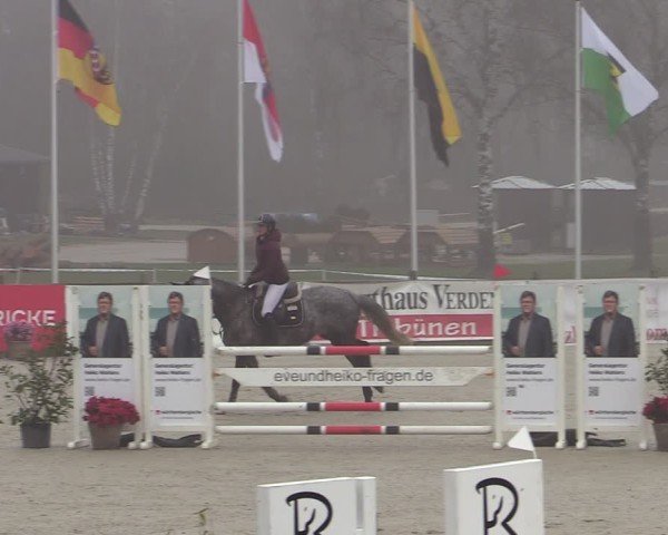 Reitturnier Westergellersen 2025