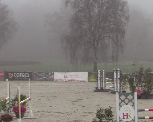 Reitturnier Westergellersen 2025