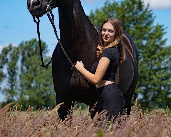Springpferd Rhapsodie 211 (Hannoveraner, 2007, von Royal Highness)