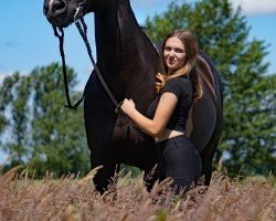 Springpferd Rhapsodie 211 (Hannoveraner, 2007, von Royal Highness)