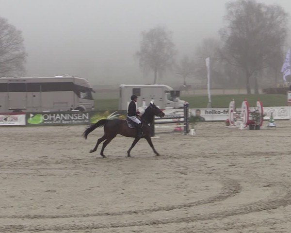 Reitturnier Westergellersen 2025