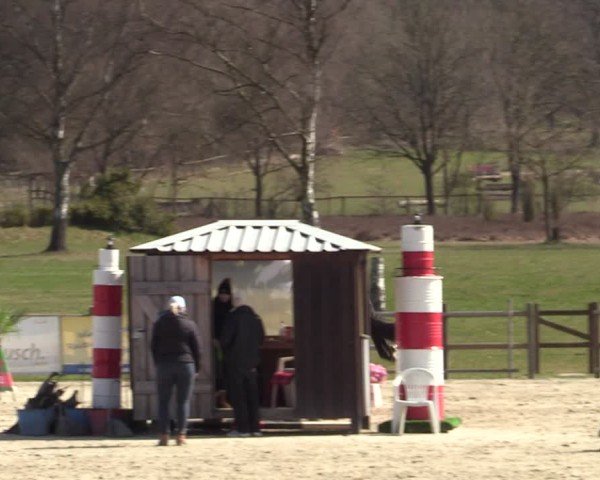 Reitturnier Westergellersen 2025