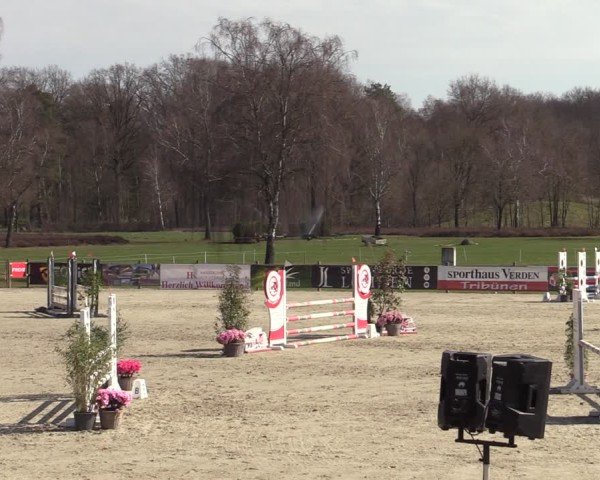 Reitturnier Westergellersen 2025