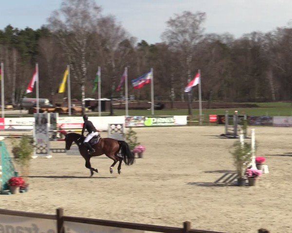 Reitturnier Westergellersen 2025