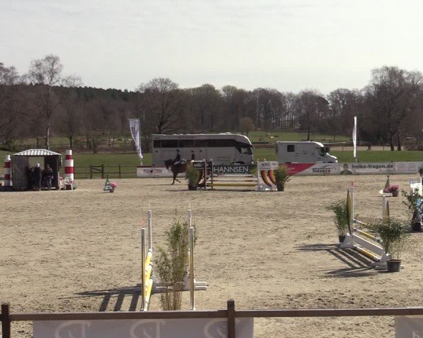 Reitturnier Westergellersen 2025