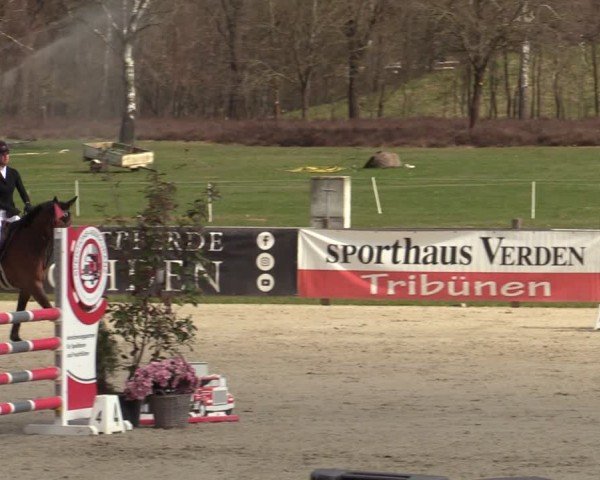 Reitturnier Westergellersen 2025