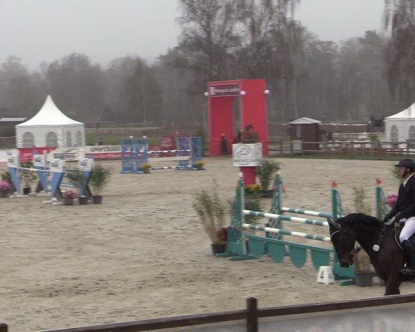 Reitturnier Westergellersen 2025