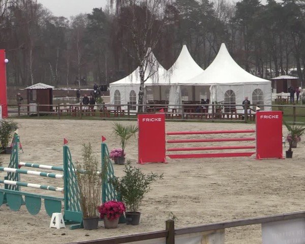 Reitturnier Westergellersen 2025