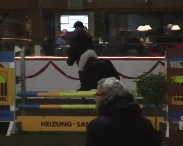 Hallen-Jugend-Springturnier Südlohn-Oeding 2013