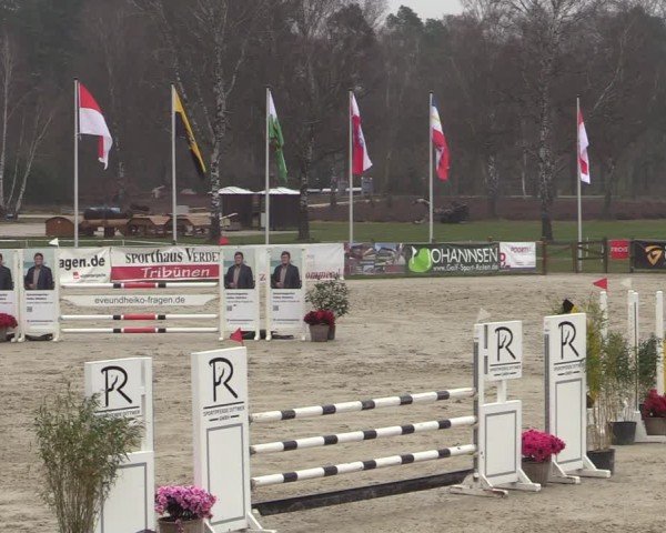 Reitturnier Westergellersen 2025