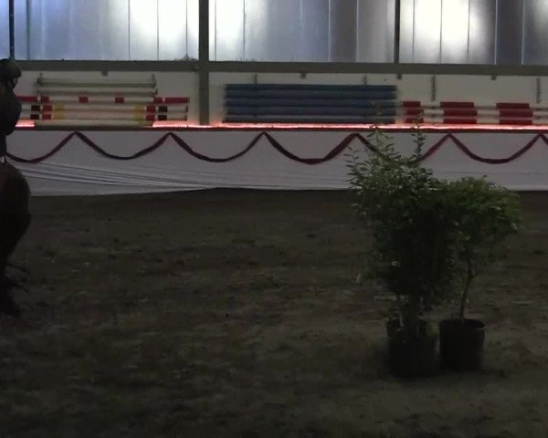 Hallen-Jugend-Springturnier Südlohn-Oeding 2013