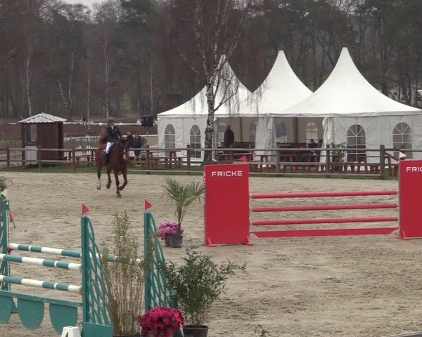 Reitturnier Westergellersen 2025