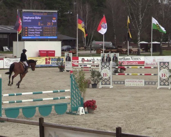 Reitturnier Westergellersen 2025