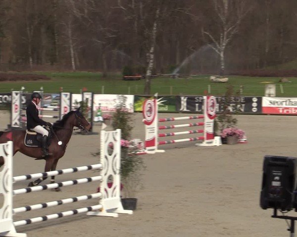 Reitturnier Westergellersen 2025