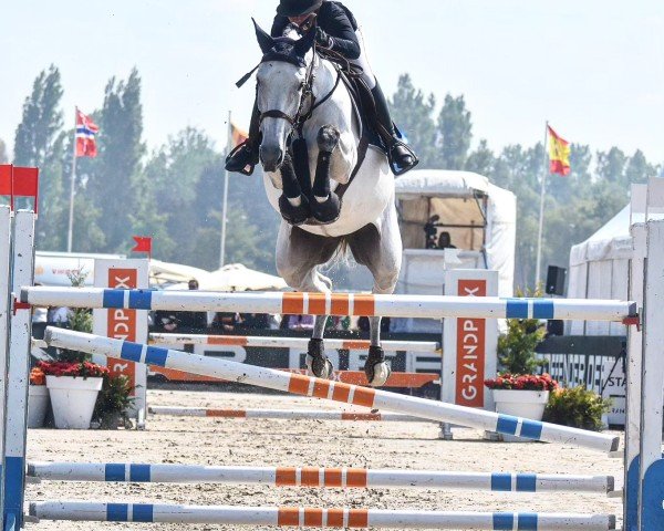 jumper Europa Gem (Selle Français, 2014, from Utrillo van de Heffinck)