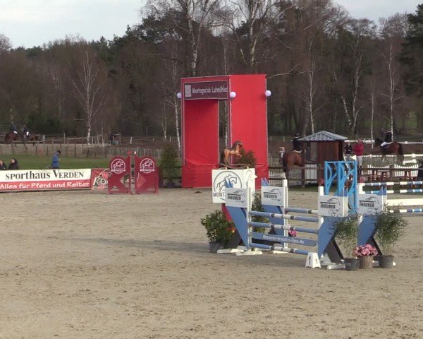 Reitturnier Westergellersen 2025