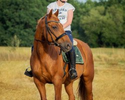 horse Perfect Pleasure (Rhinelander, 2000, from Polypur)