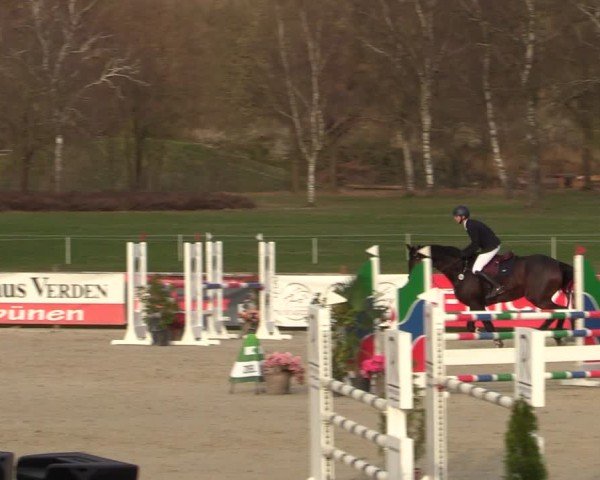 Reitturnier Westergellersen 2025