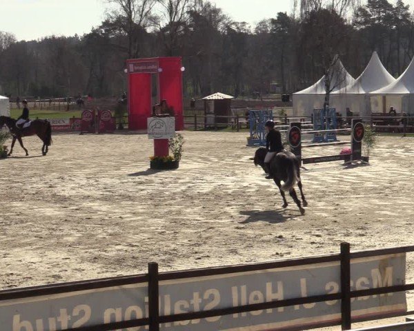 Reitturnier Westergellersen 2025