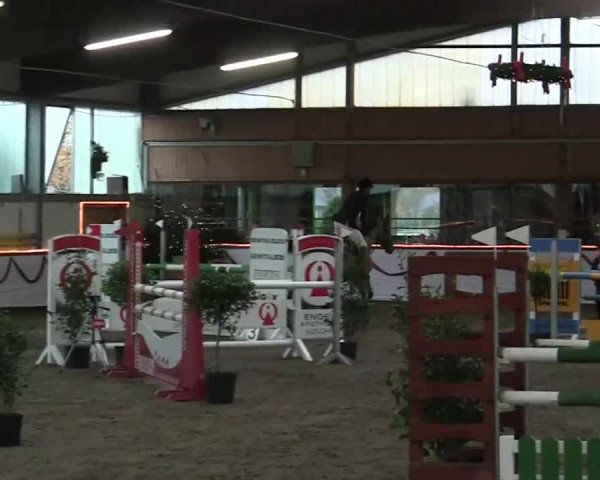Hallen-Jugend-Springturnier Südlohn-Oeding 2013