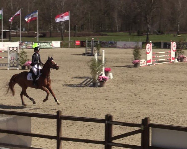 Reitturnier Westergellersen 2025