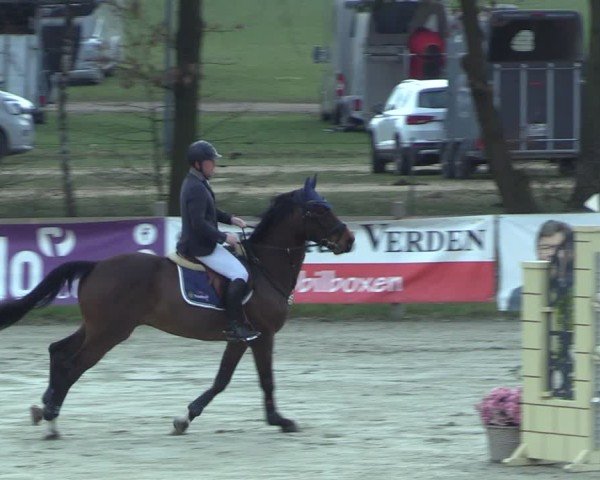 Reitturnier Westergellersen 2025