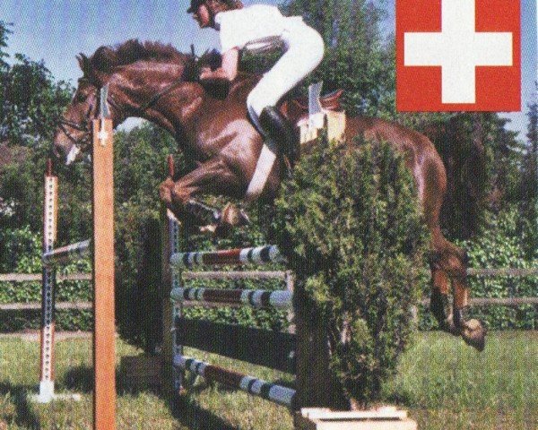 horse Voltaire (Freiberger, 1994, from Vulcain)