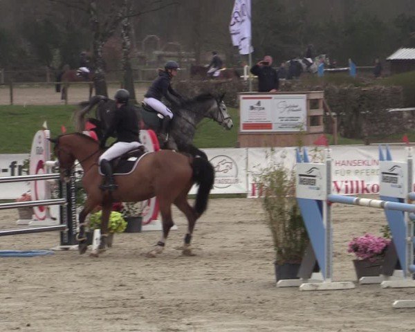 Reitturnier Westergellersen 2025