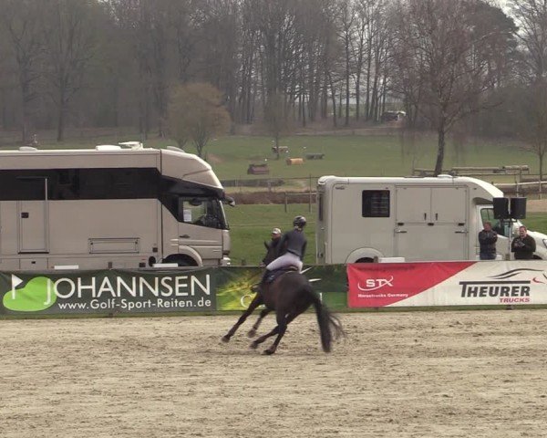 Reitturnier Westergellersen 2025