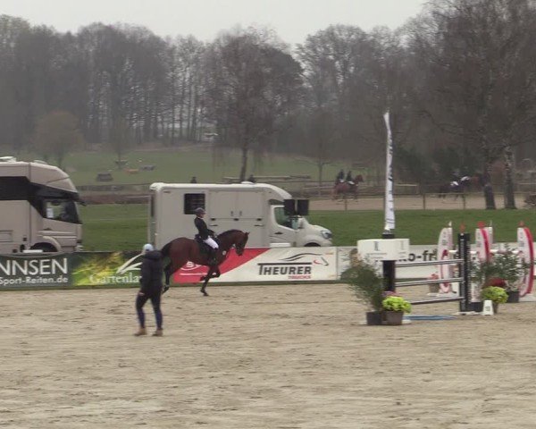Reitturnier Westergellersen 2025