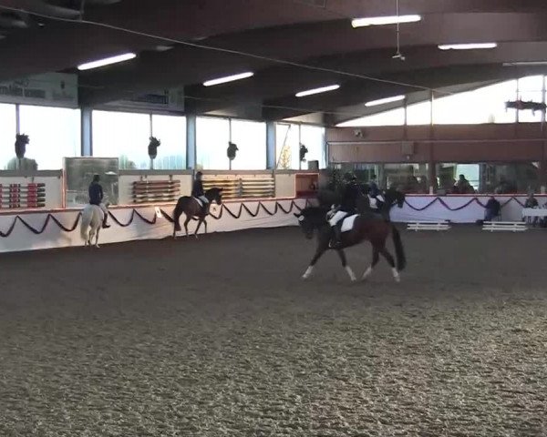 Hallen-Jugend-Springturnier Südlohn-Oeding 2013