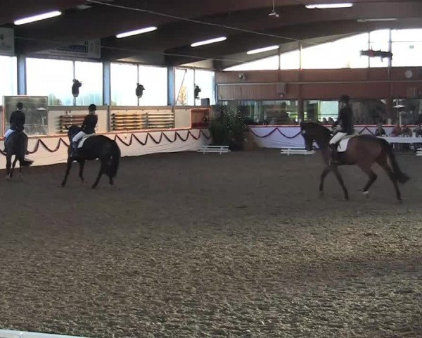 Hallen-Jugend-Springturnier Südlohn-Oeding 2013