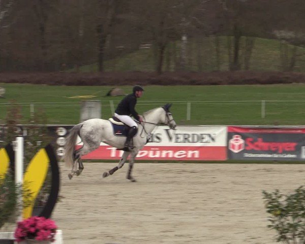 Reitturnier Westergellersen 2025