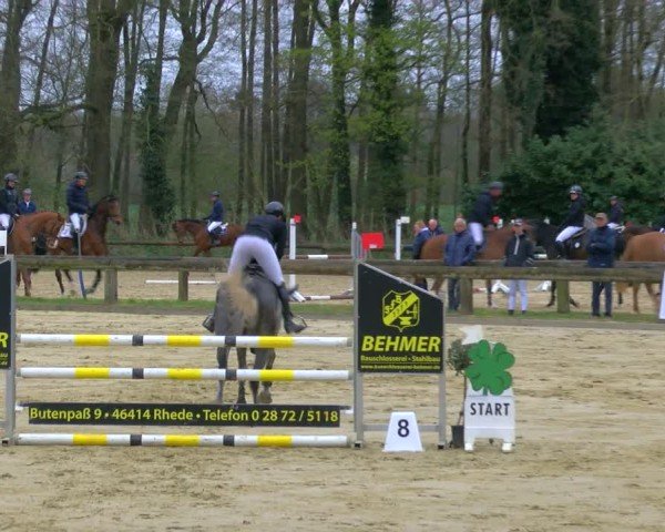 Reitturnier Rhede 2025
