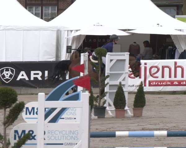 Reitturnier Werne-Lenklar 2025