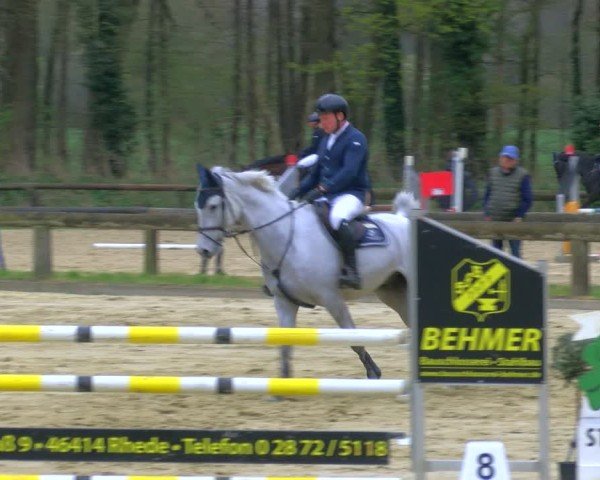 Reitturnier Rhede 2025
