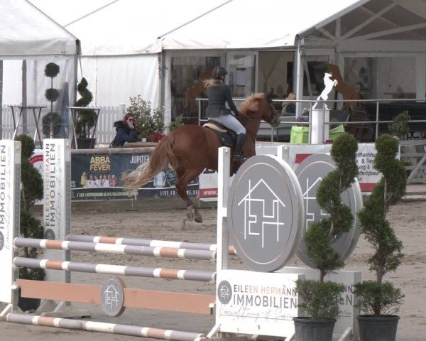 Reitturnier Werne-Lenklar 2025