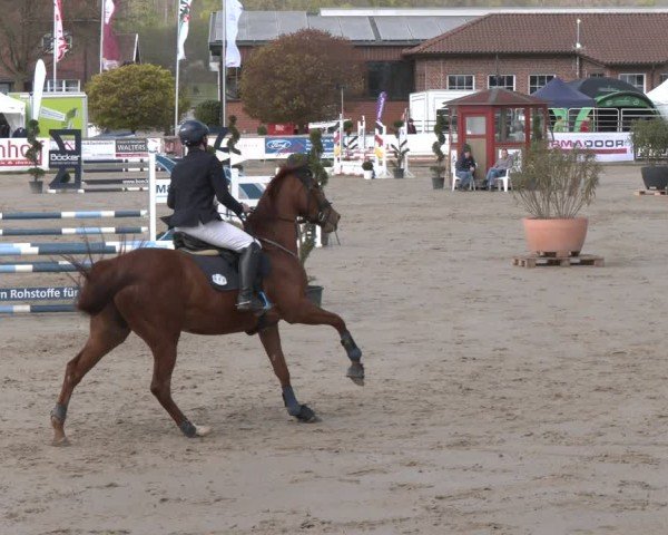 Reitturnier Werne-Lenklar 2025