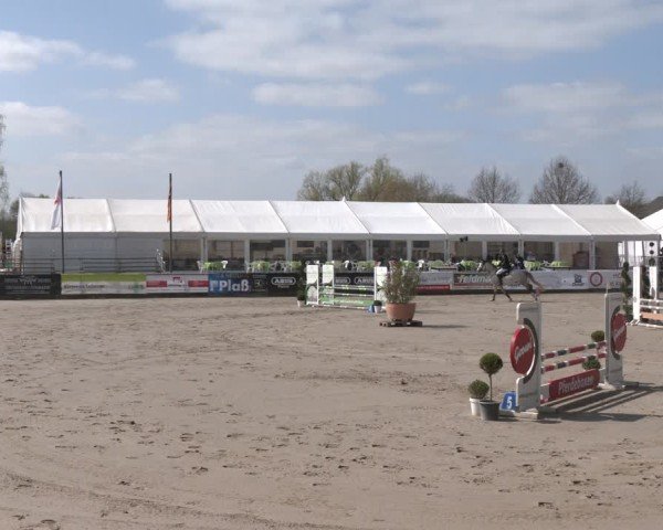 Lenklarer Reitertage Werne 2025