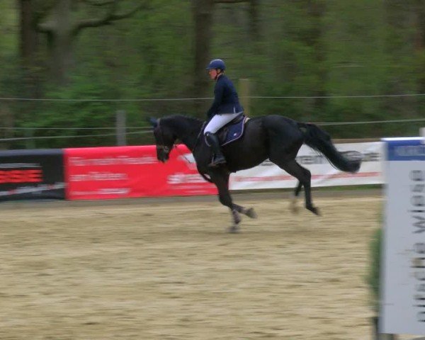 Reitturnier Rhede 2025