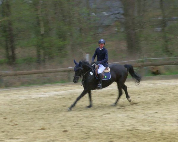Reitturnier Rhede 2025